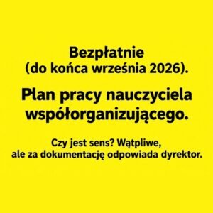 Plan pracy nauczyciela współorganizującego kształcenie (e-book)